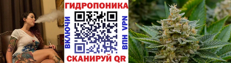 Где найти наркотики Борзя Бошки Шишки  СК  ГАШИШ  Амфетамин  МЕФ 