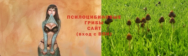 прущий лед Белоозёрский